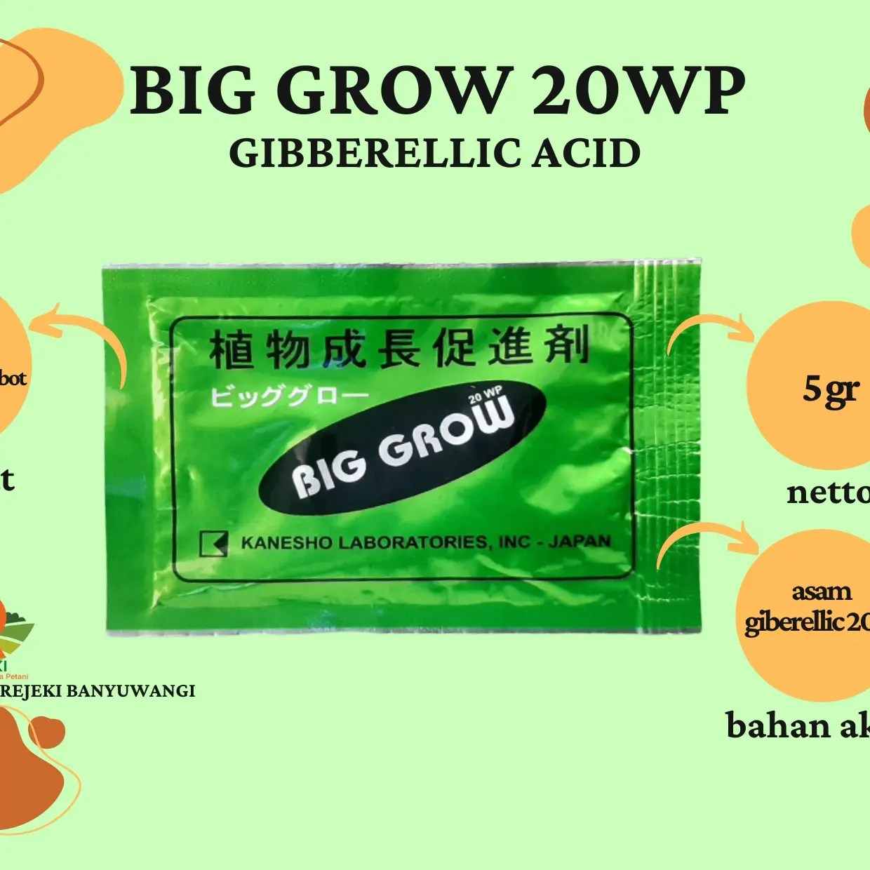 BIG GROW 20WP  5GR ZPT ASAM GIBERELLIC 20%