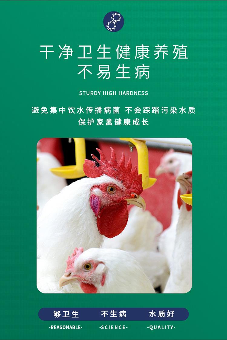 Product Introduction of 2 Chicken Waterer Steel Ball One Piece Cup Hanging Drink Fountain Nipple Chicken Breeding Equipment Supplies 6