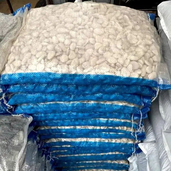 KHUSUS GRAB-GOJEK / BATU HIAS KORAL PUTIH 1 KARUNG 10'KG BATU TAMAN