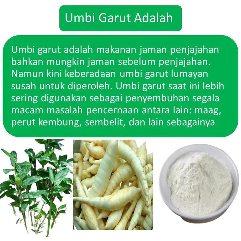 Paket 2 Box Nutri-Aj- Pati Irut-Garut-Angrik-Bebas Gluten Tepung Bahan 3