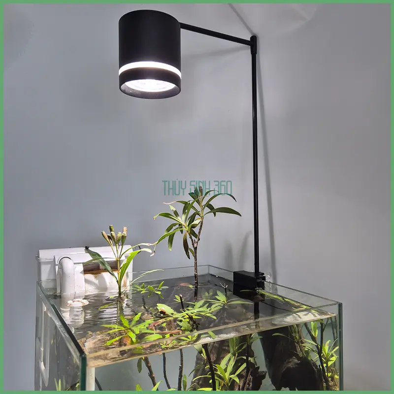 Đèn Rọi 3 Chế Độ Màu Coco - Chất Liệu Nhôm - Sử Dụng Cho Bể Thủy Sinh, Biotop, Bán Cạn, Tiểu Cảnh 8