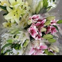 Gambar bunga Lily fresh lili casablanka lili putih lili pink single flower lili putih single flower lili pink - -, - dari Gaby Bella Florist Kota Administrasi Jakarta Selatan 3 Tokopedia