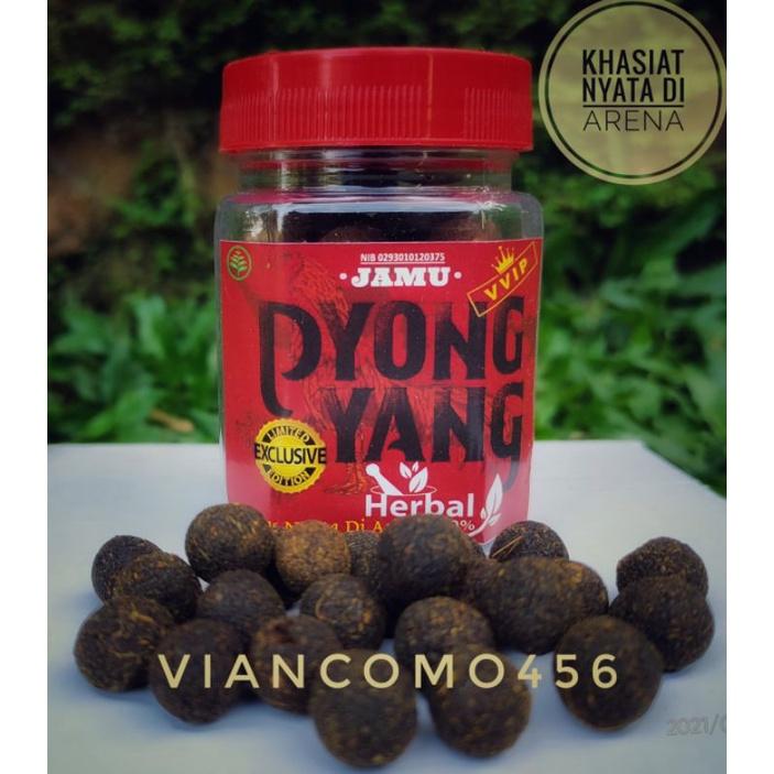 JAMU PYONGYANG VVIP PAKET 2 BOTOL 2