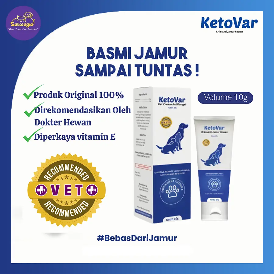 Ketovar - Obat Jamur Kucing/Salep Krim Anti Jamur Obat Jamur Untuk Kucing Anjing