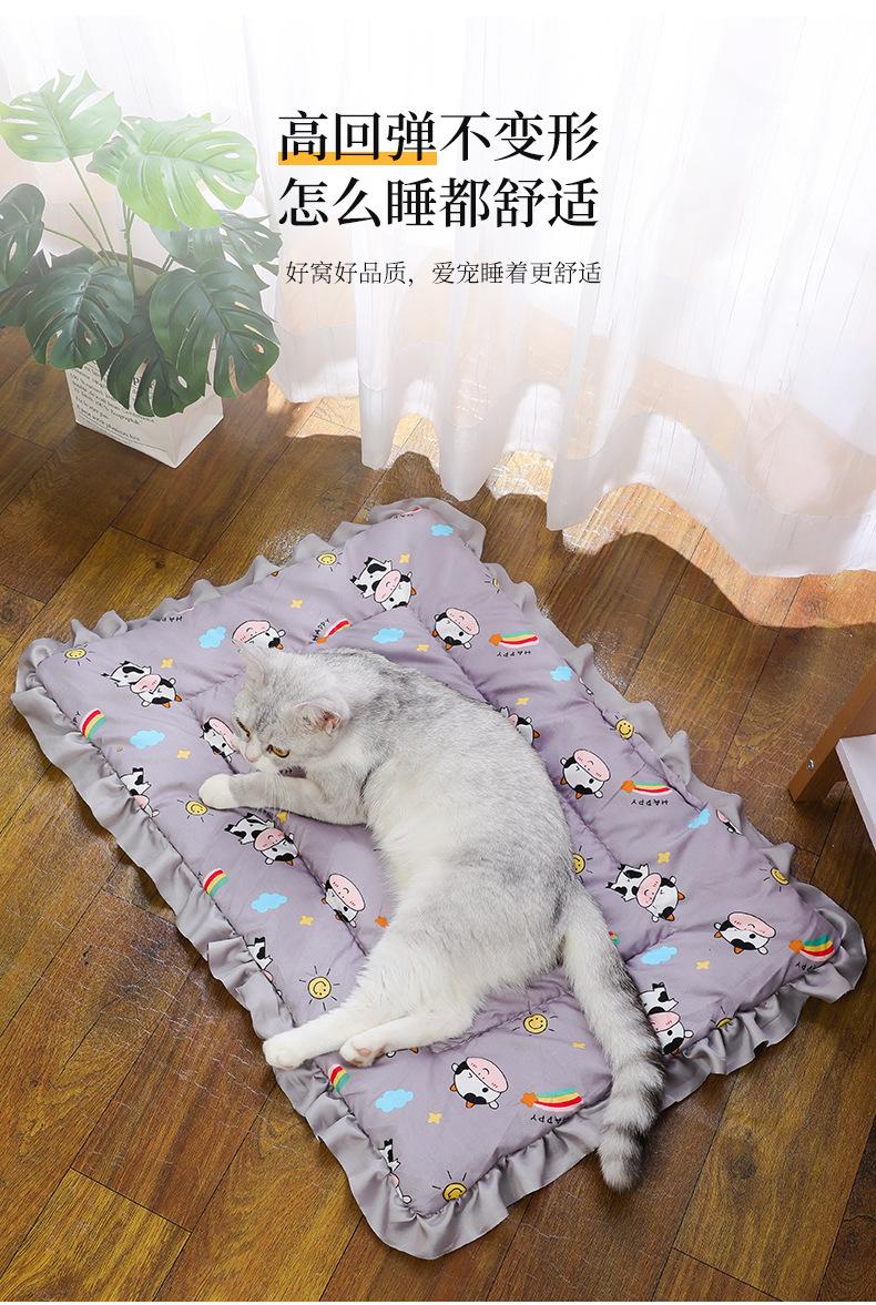 Product Introduction of Thickened Autumn and Winter Warm Floor Mat, Cat for Common Dogs Blanket Mat 27