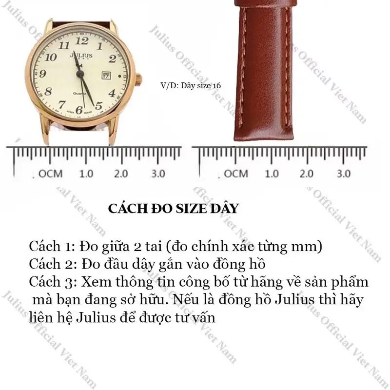 Dây da đồng hồ JA-496 Size 7 | Julius Official 3