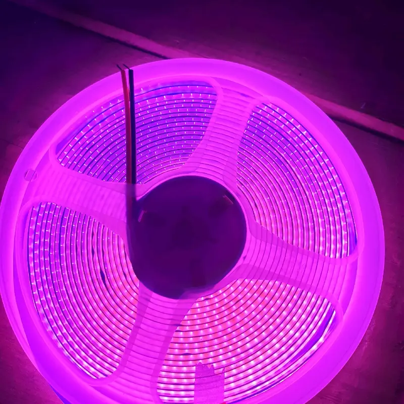cuộn led dây dài 5m là 12v và 10m là 24v 5