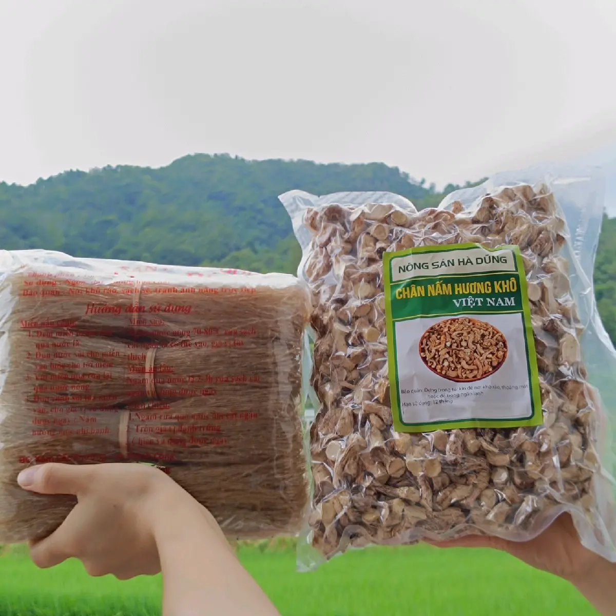 [COMBO] 500gr Chân Nấm Hương Khô + 1kg Miến Dong Phia Đén - Cao Băng
