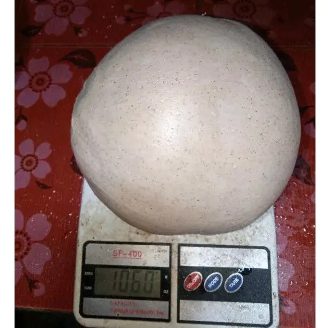pulut anti leleh anti lalat isi 25gram 4