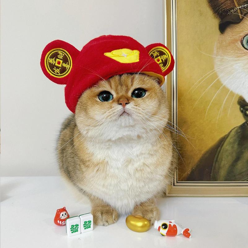 Product Introduction of Funny Pet Costumes: Starfish, Bream, Pig, Chicken, Bear, Panda Headbands for Cats & Dogs 13