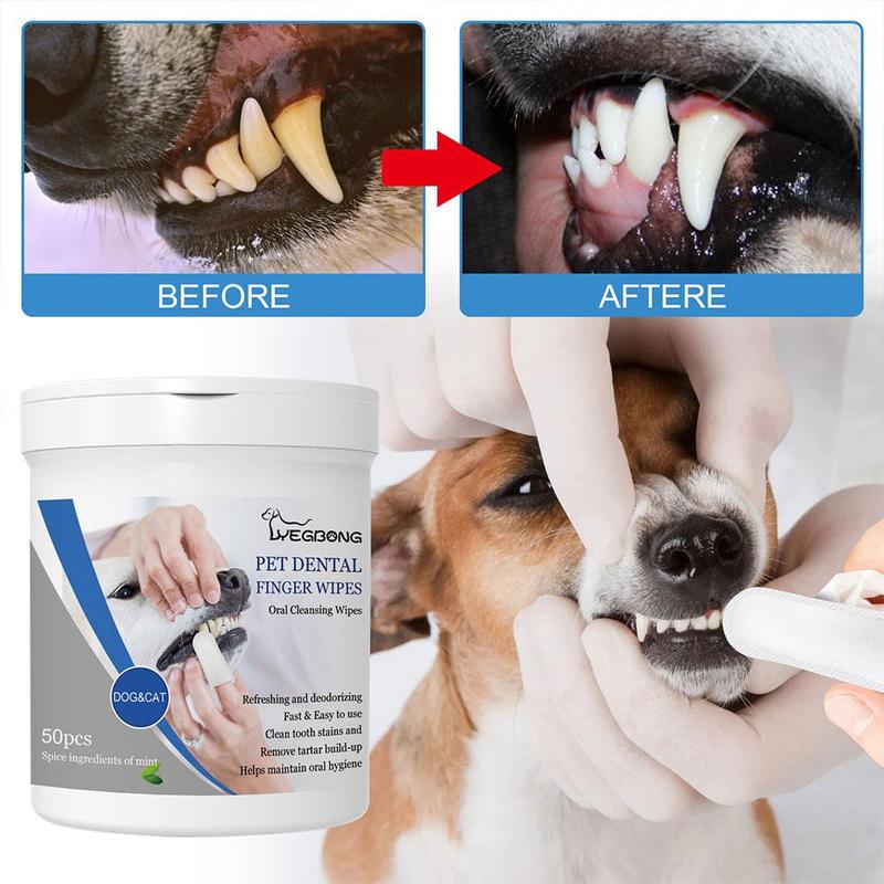 Product Introduction of Oral Care Finger Wipes for Dogs and Cats EasytoUse Pet Teeth Cleaning Solution for Fresh Breath L8B9 20