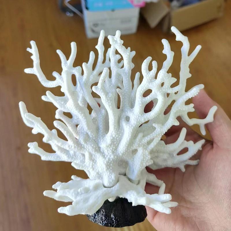 Mô hình san hô trang trí bể cá cảnh, bể thủy sinh, bể bán cạn, tiểu cảnh, terrarium, DIY 1
