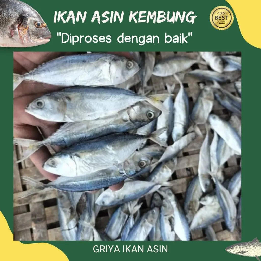500gr Ikan Kembung Kanaren/ ikan asin peda/Ikan Asin Kering termurah