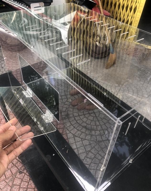 Chuồng Hộp Nuôi Bò Sát Côn Trùng Hamster Nhện Cỡ Lớn dạng lắp ghép