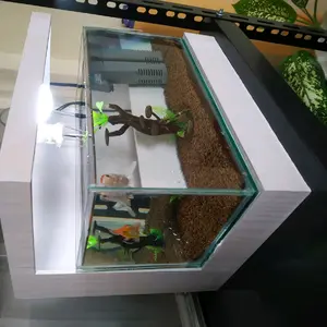 akuarium minimalis akuasscape ikan hias