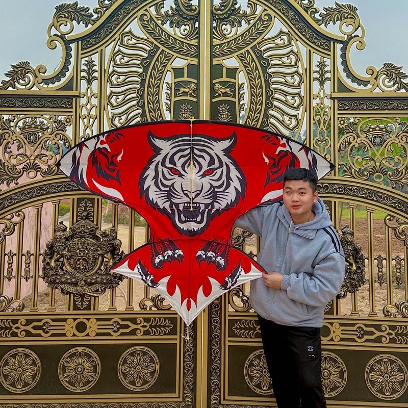 Diều 2m10 hổ bẹn trắng đỏ diều nan bạc vip, diều cá bẹn tháo lắp bẹn phù hớp lắp sáo cõng khoẻ