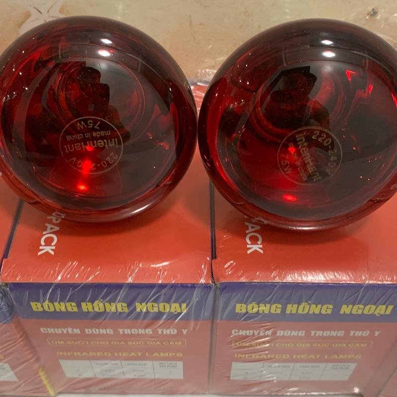 ￼[BÓNG LOẠI 1] Combo 10 bóng úm bóng sưởi bóng hồng ngoại sưởi ấm gia súc gia cầm vật nuôi 45W 75W