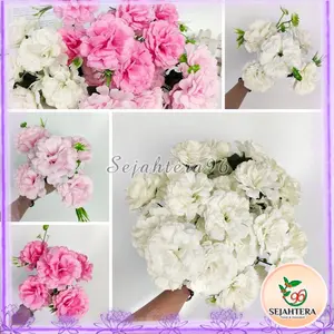 Bunga Anyelir Carnation SJ Cabang 5 Artificial Buatan Home Decor Hiasan Dekorasi Pelaminan