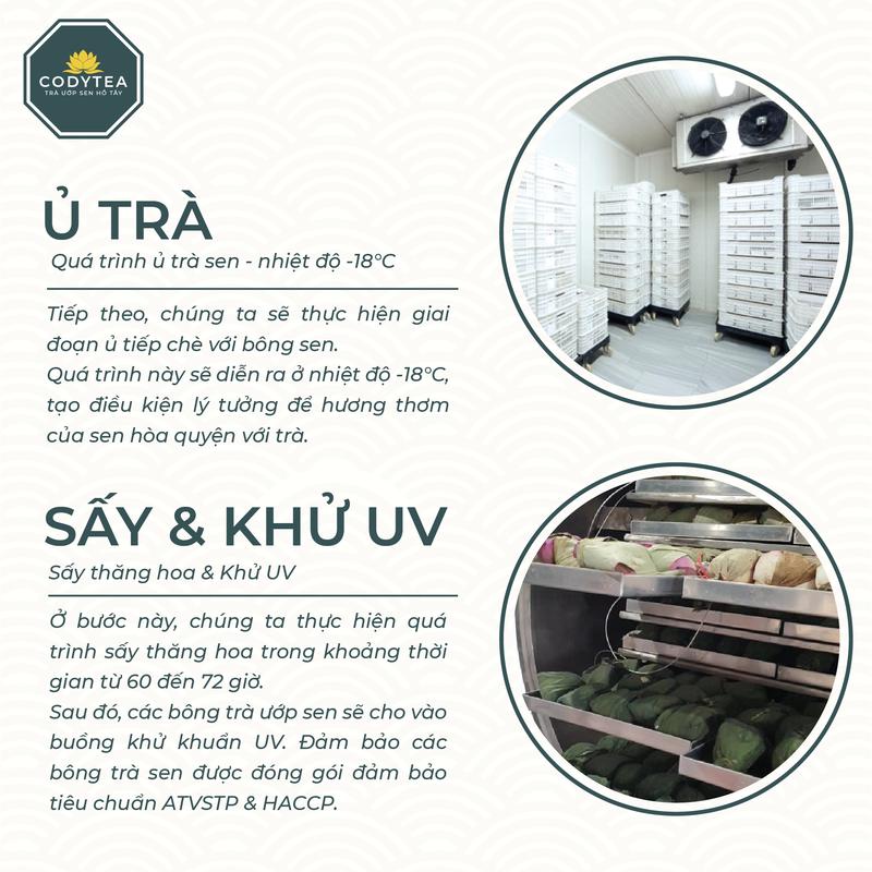 Trà ướp sen Hồ Tây - Đại Thọ (Bông) Cody Tea traxanh 9