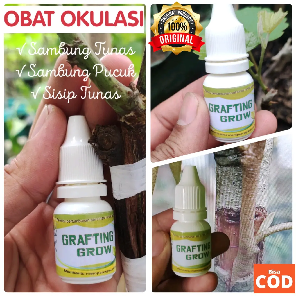 OBAT OKULASI SAMBUNG PUCUK, OBAT GRAFTING, GRAFTING SERUM,GRAFTING GROW Tanaman Benih