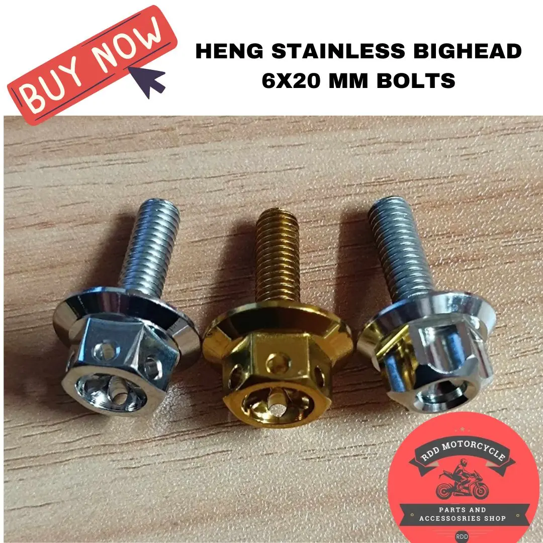THAILAND HENG STAINLESS BIGHEAD 6X20 MM BOLTS / FOOTBOARD / PLATE NO. / HEAT GUARD / FENDER BOLT
