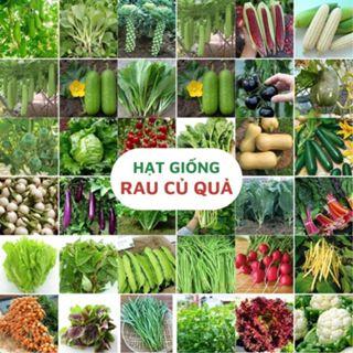 Combo 25 loại hạt giống rau củ quả dễ trông - Hạt giống chất lượng cao- Shop Hạt giống hoa An An