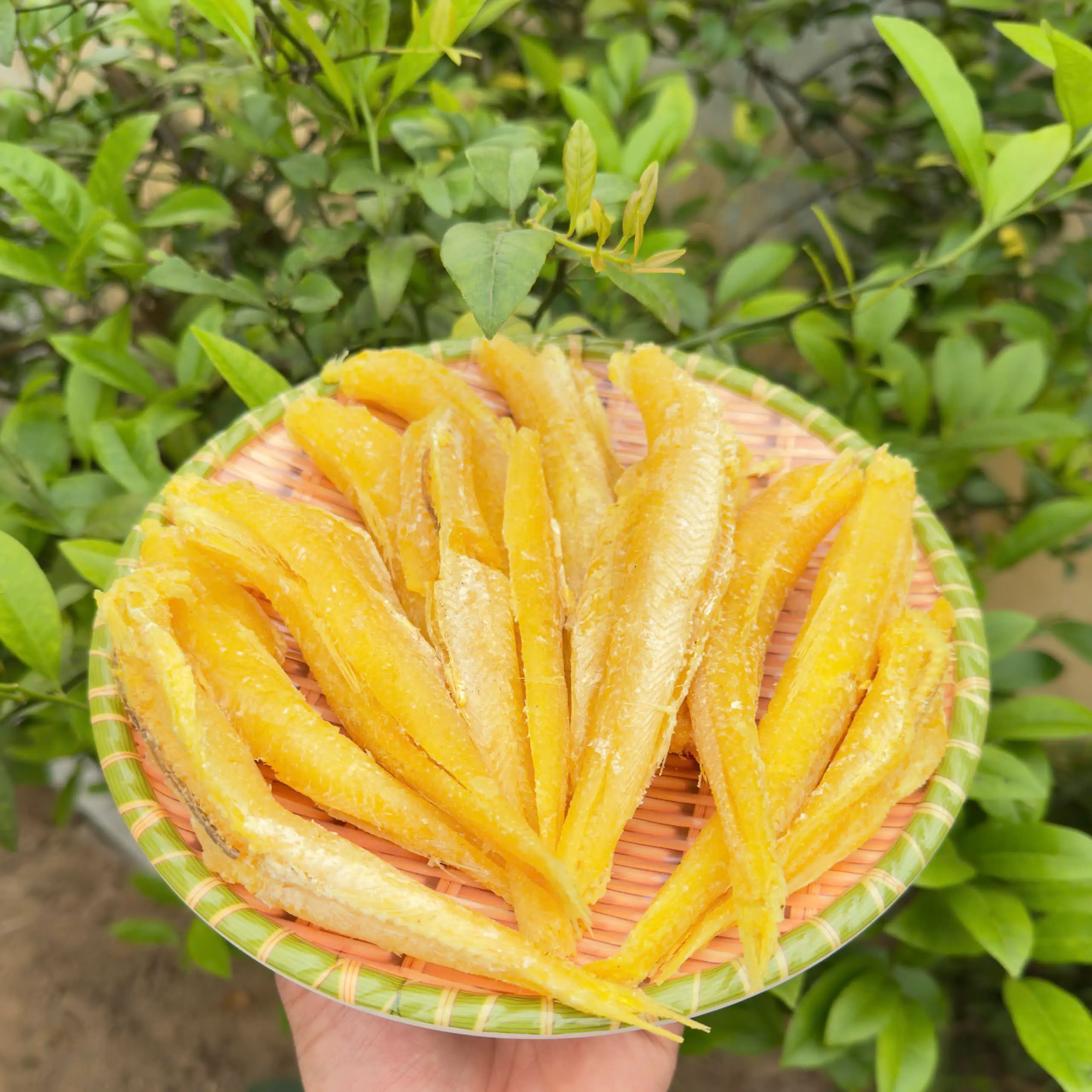 500G Cá Bống Vàng Khô Ngon Loại 1 – Đặc Sản Biển Vô Cực – Cá Khô Tự Nhiên Không Chất Bảo Quản – Thịt Dai, Vị Đậm – An Toàn Sức Khỏe, Snack Hải Sản