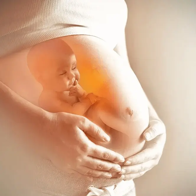 Đai Nâng Đỡ Bụng Bầu Cho Bà Bầu Trước Và Sau Sinh Chính Hãng miDoctor 8