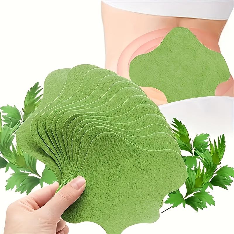 Product Introduction of Miếng Dán Chiết Xuất Ngải Cứu 10 Miếng, Có Sẵn Cho Eo Và Nhiều Bộ Phận Khác 0