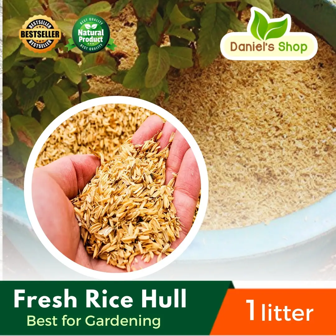 1 kilo Fresh Rice hull or Ipa For plants ALL NATURAL Good for Plants ...