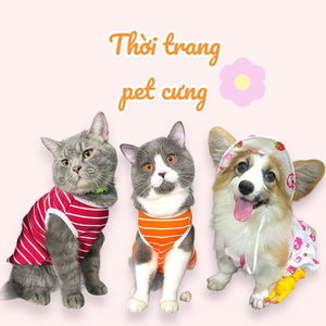 Thời trang pet cưng
