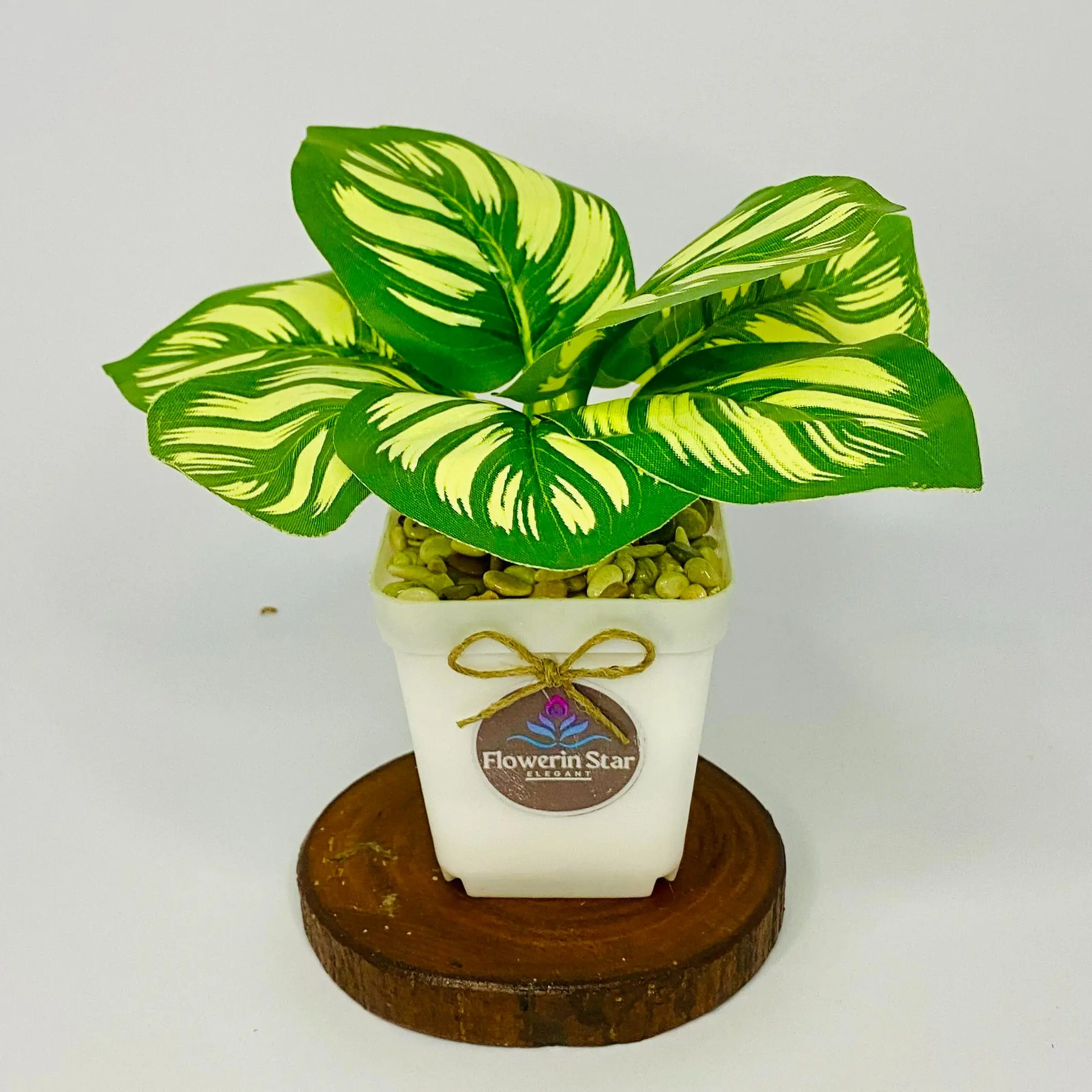 bunga Artificial Terlaris Calathea Hijau Dekorasi Ruangan Artificial plastik
