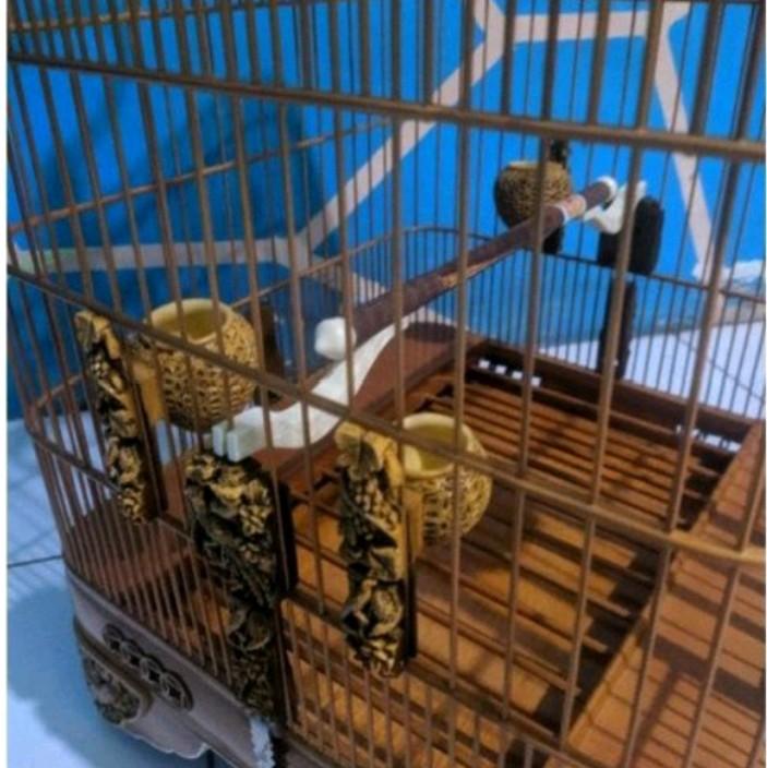 Dudukan Tangkringan Sangkar Burung Anis/Murai 7