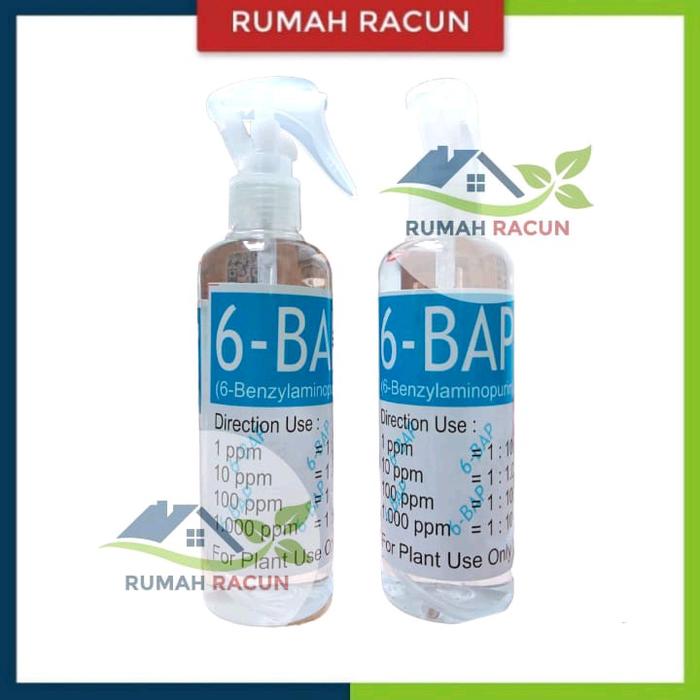 Gambar BAP 6-BAPBENZYLAMINO PURIN 10.000 ppm Hormon Pertumbuhan Tunas dan Bunga Angrek dari RUMAH RACUN Kab. Karanganyar Tokopedia