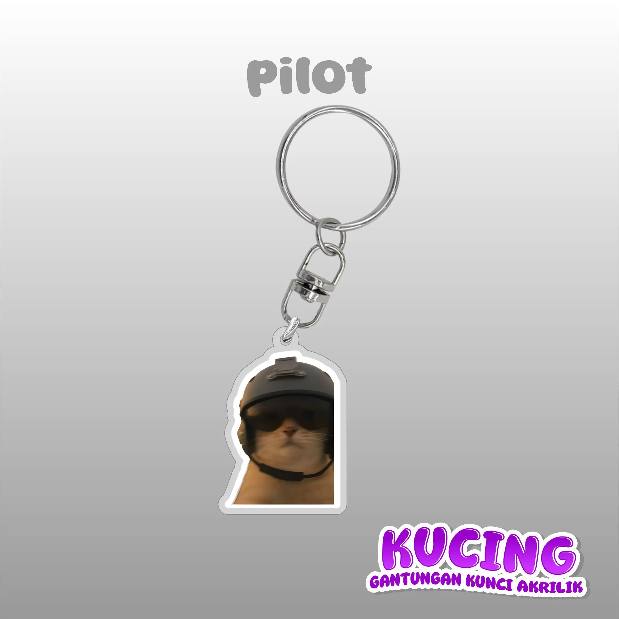 PILOT