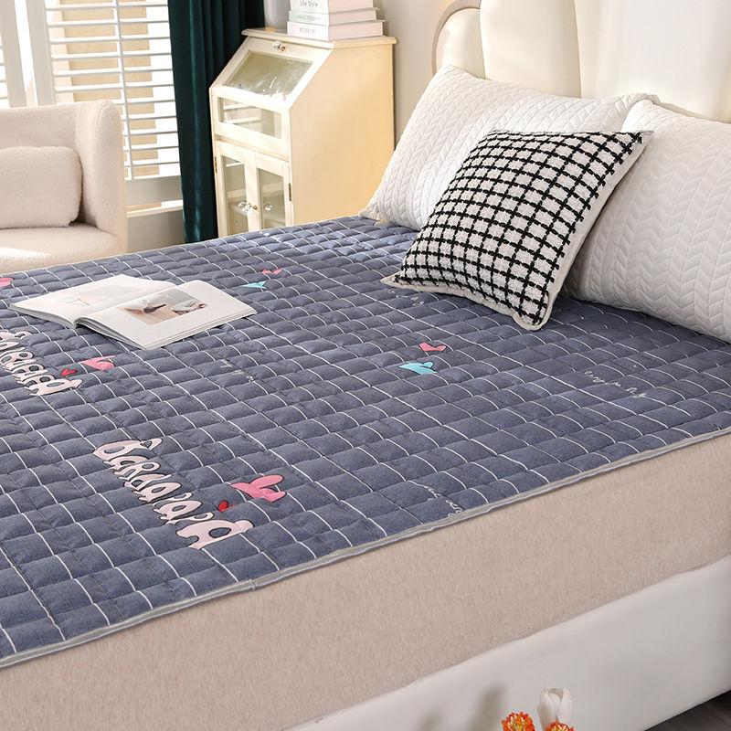 Product Introduction of New Four Seasons Foldable Non-Slip Thin Mattress Tatami Protective Pad Single Double Student Dormitory Protective Pad 0