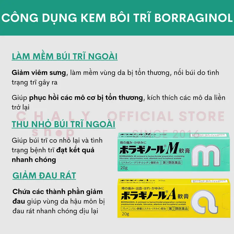 Kem bôi trĩ chữ A 20g Nhật Bản chính hãng 2
