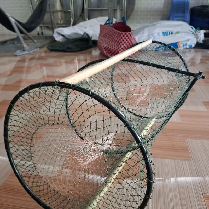 5 cái lờ cá vành nhựa 30*52 không cần mồi Đi Câu Bắt Cá Câu Cá Fishing Fish 5