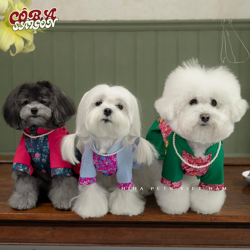 Áo Dài Cô Ba KÈM CHUỖI KHÔNG NÓN Cho Chó Mèo 2026 Quần Áo Cho Thú Cưng Chất Vải Cao Cấp Hiha Pets.