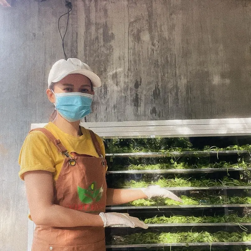 Bột rau má đậu xanh Thanh Trúc 2