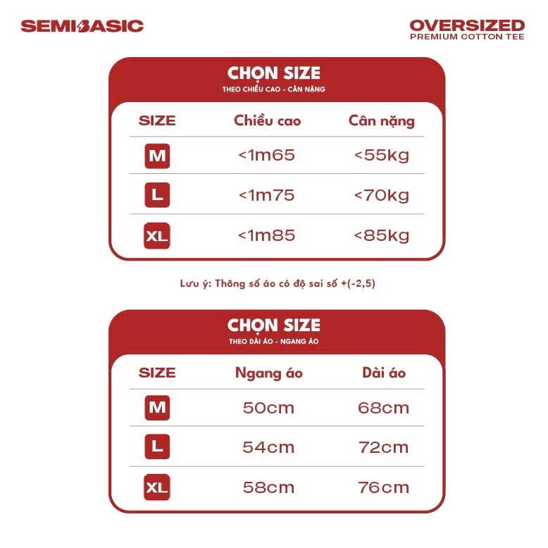 Áo thun raglan StressLess premium cotton - thương hiệu Semi Basic 5