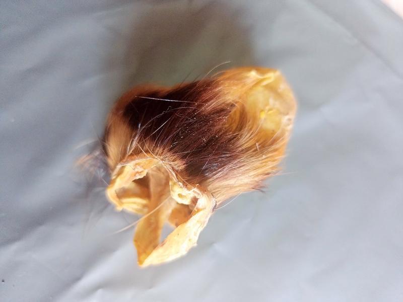 Product Introduction of kantong kulit loreng 2