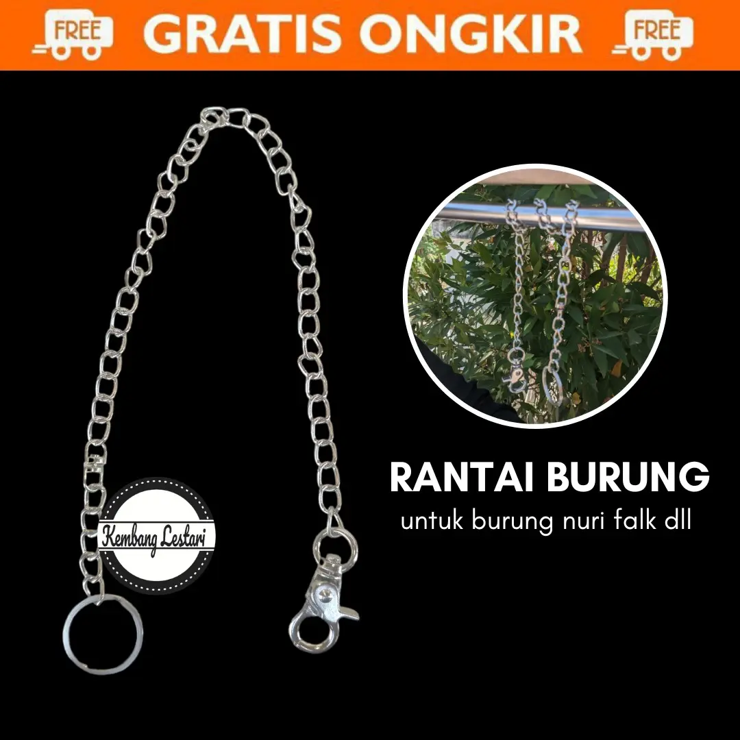 Rantai Nuri Tali Rantai Burung Beo Betet Nuri Panjang 45cm