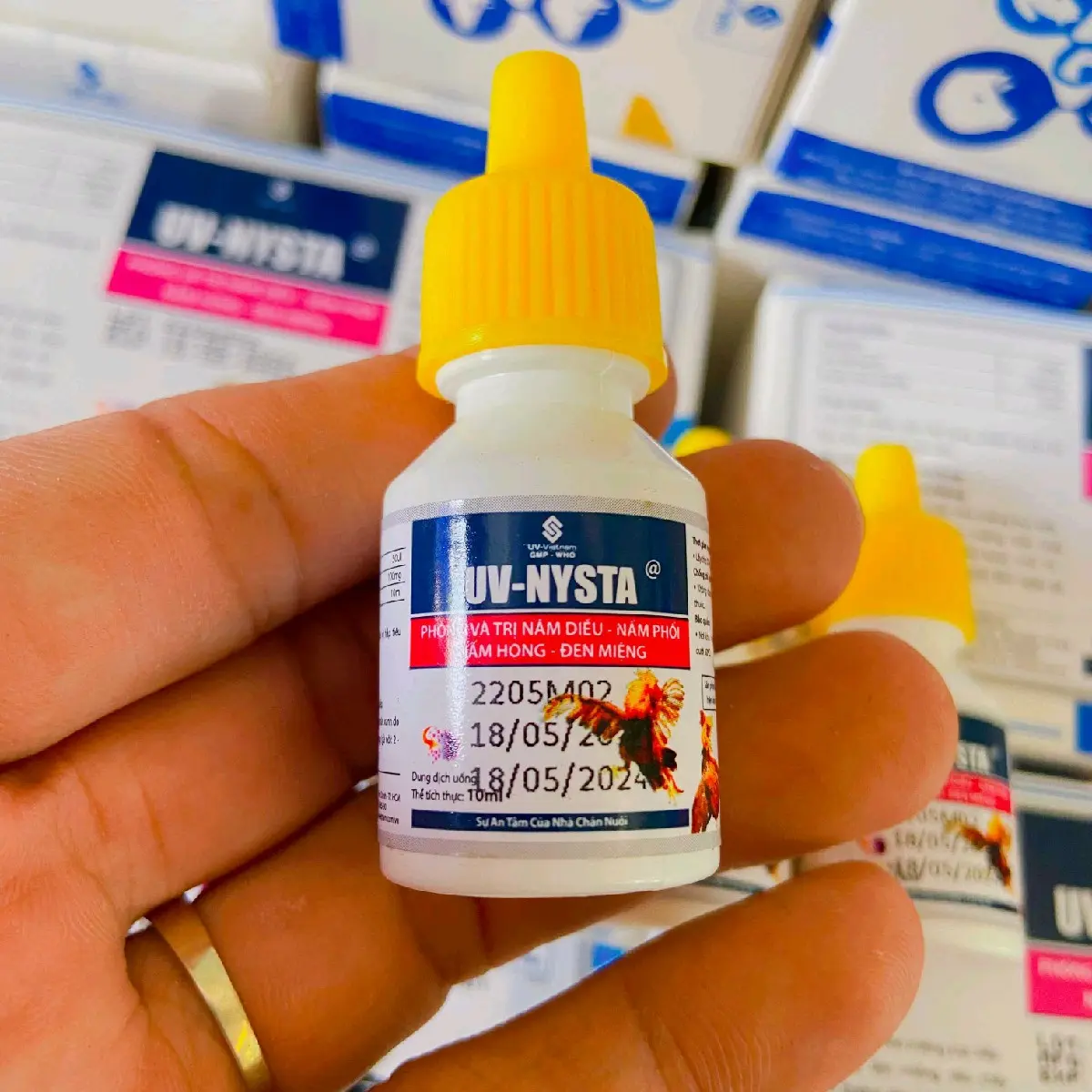 Nystatin 10ml (đẹn gà, nấm diều, nấm họng, nấm phổi cho gà nòi ga che)