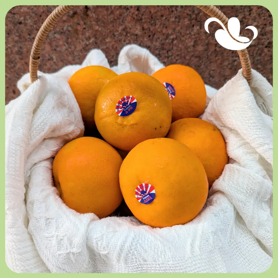 Cicin Garden - Quýt Đài Nhỏ - 1kg