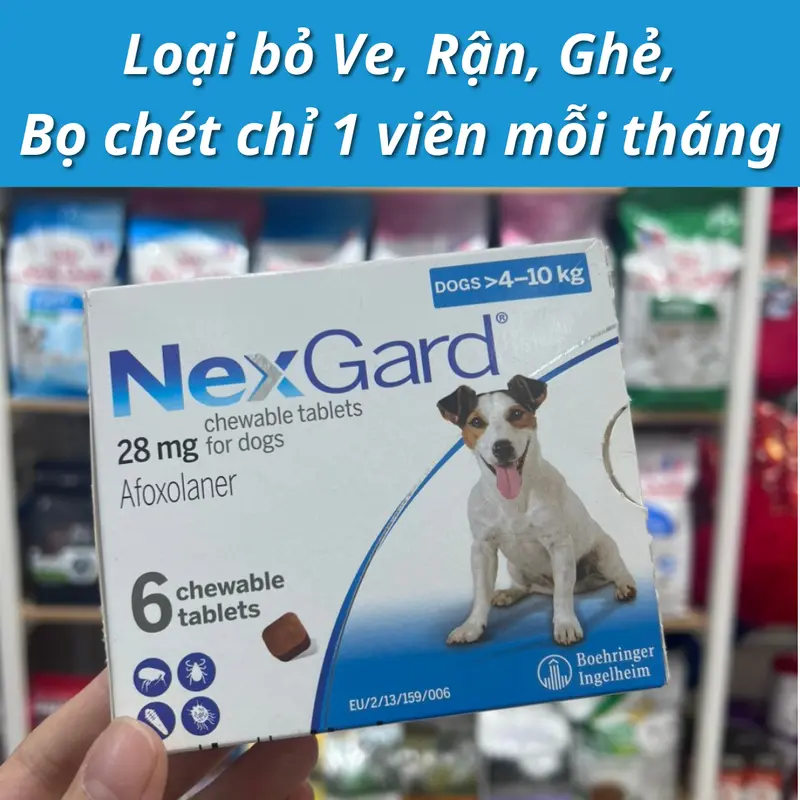 NexGard - Viên nhai phòng & trị Ve, Rận, Bọ chét, Ghẻ cho chó từ 2-50kg - 1 Viên 1