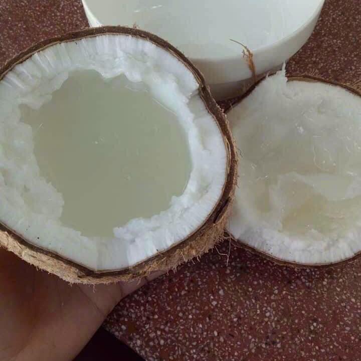 [Loại2 size Lớn ] Dừa Sáp Trà Vinh- Thực Phẩm Khô- Thức Ăn Food 1