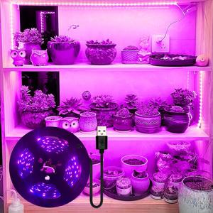 Luz LED para crecimiento de plantas alimentada por USB, Lámpara de crecimiento de plantas, Luz para plantas para invernadero interior como suplemento