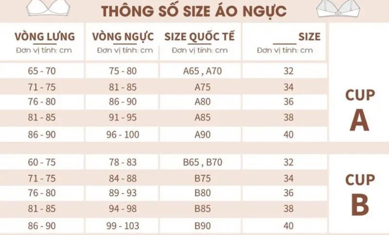 Product Introduction of Combo 5 quần lót nữ viền ren có lỗ thoáng khí (freesize 38-53kg) [N12-5] 0