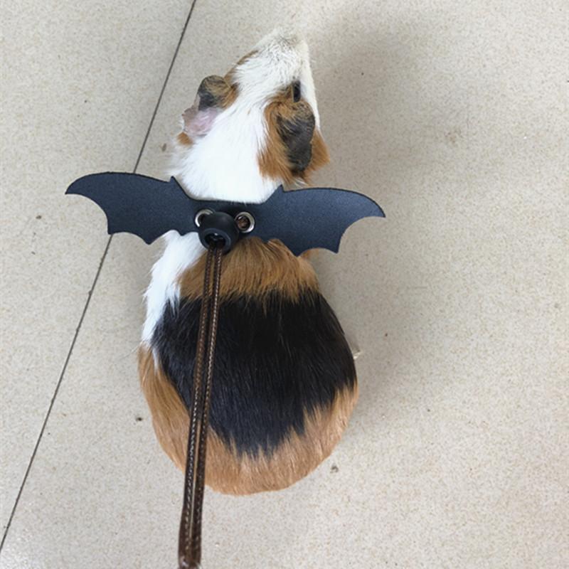Product Introduction of 2025 Reptile Pet Lizard Leash with Wings Squirrel Harness Chinchilla Leash Green Gecko Lizard Guinea Pig Outdoor Leash 8